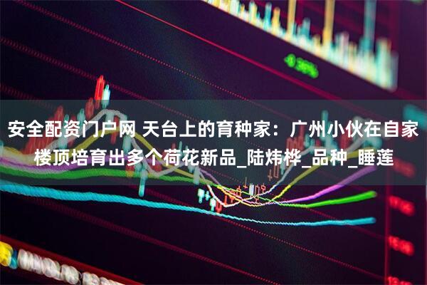 安全配资门户网 天台上的育种家：广州小伙在自家楼顶培育出多个荷花新品_陆炜桦_品种_睡莲